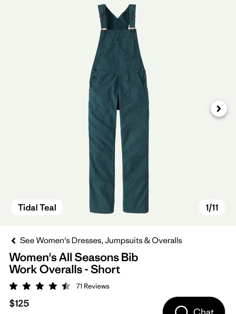 Patagonia Women's All Seasons Bib Work Overalls - Tidal Teal